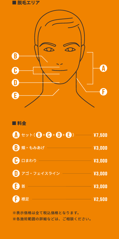 Aセット(全て)：￥7,500　B(頬・もみあげ)：￥3,000　C(口まわり)：￥3,000　D(アゴ・フェイスライン)：￥3,000　E(首)：￥3,000　F(襟足)：￥2,500
